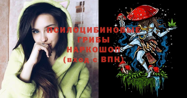 бошки Алексеевка